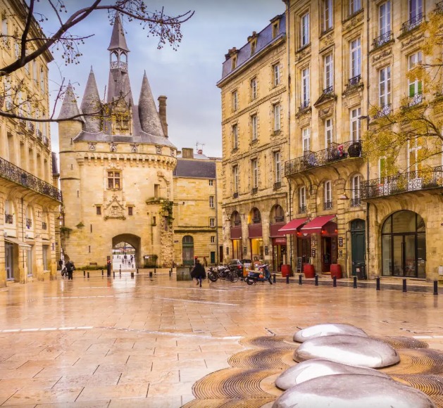 WhatsApp Image 2026-02-18 at 11.05.52.jpeg