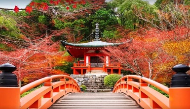 /سفر دو سرزمین - از سئول تا هیروشیما