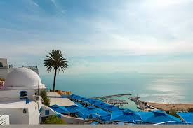 db.tour-related.title